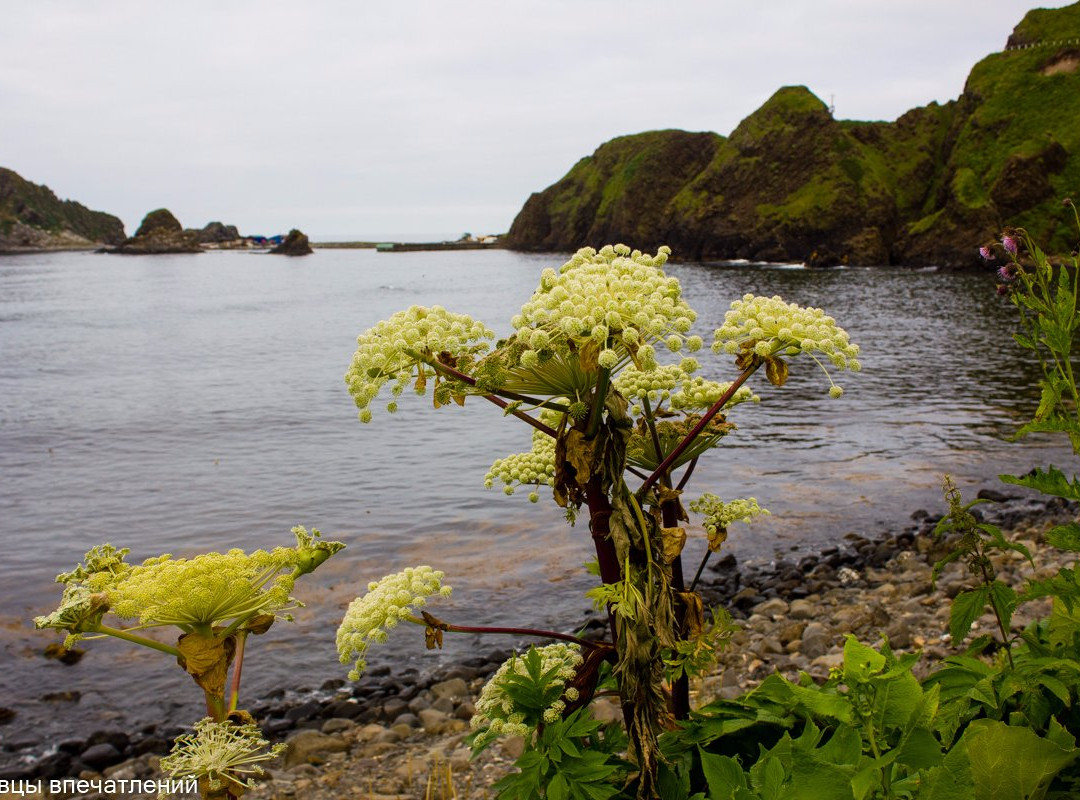 Nevelsk旅游攻略图片
