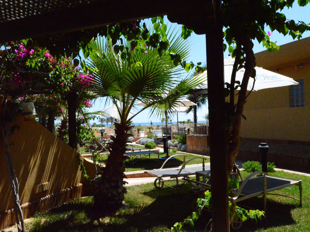 Peace Spa & Resort Egypt主图