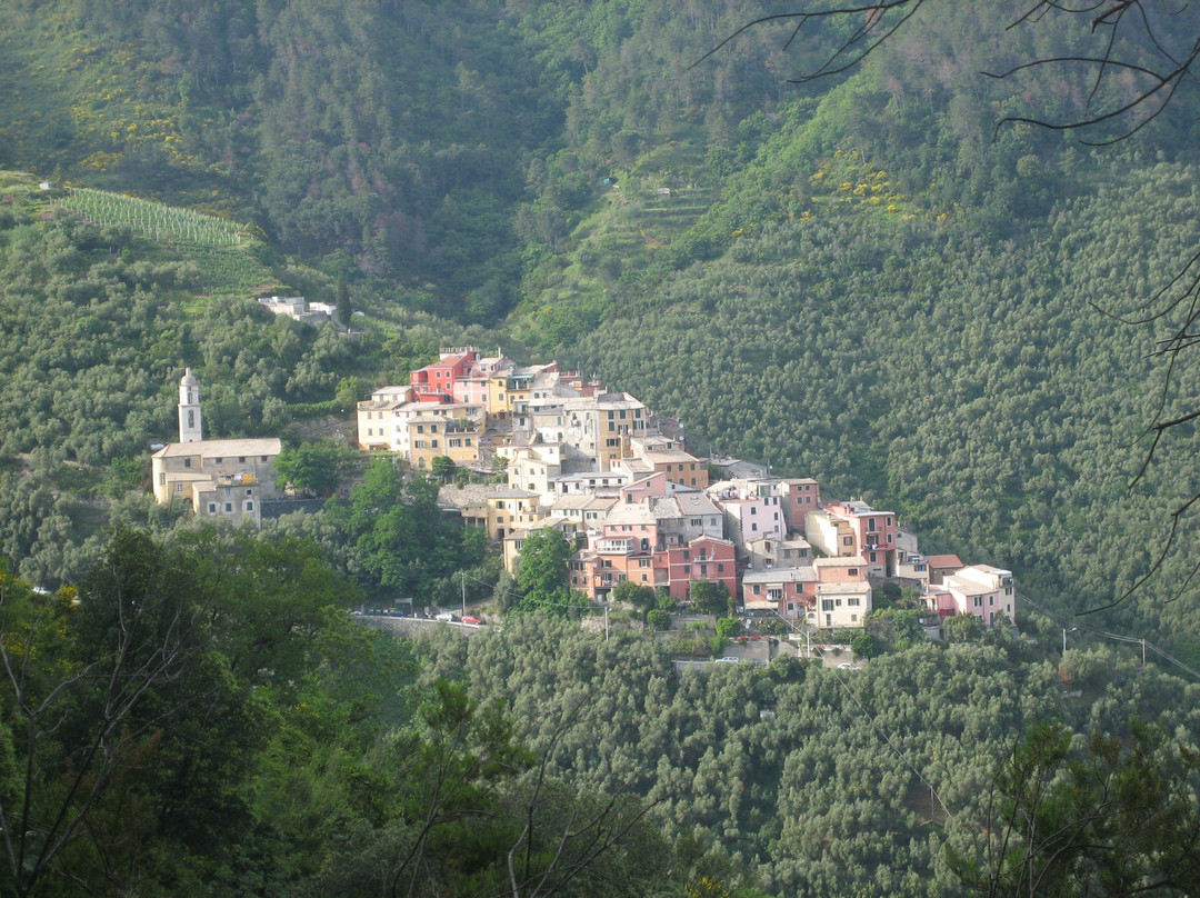 Tuvo Agriturismo主图