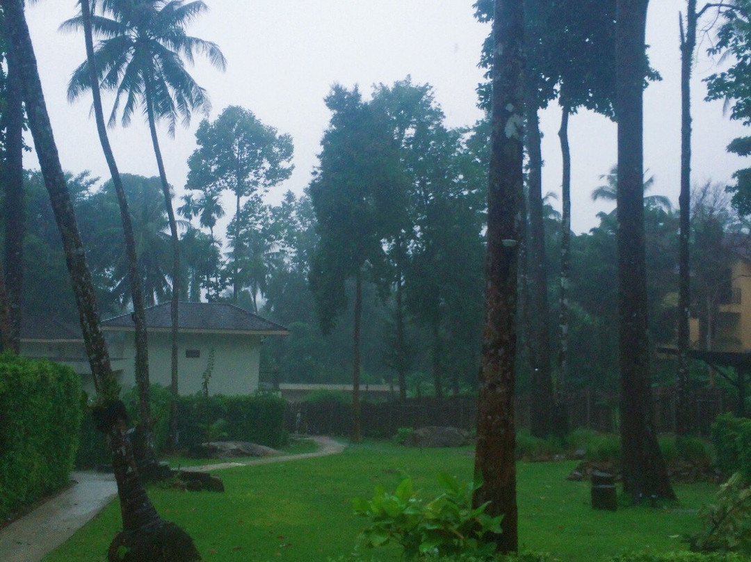 象岛酒店住宿-内斯特森斯度假酒店