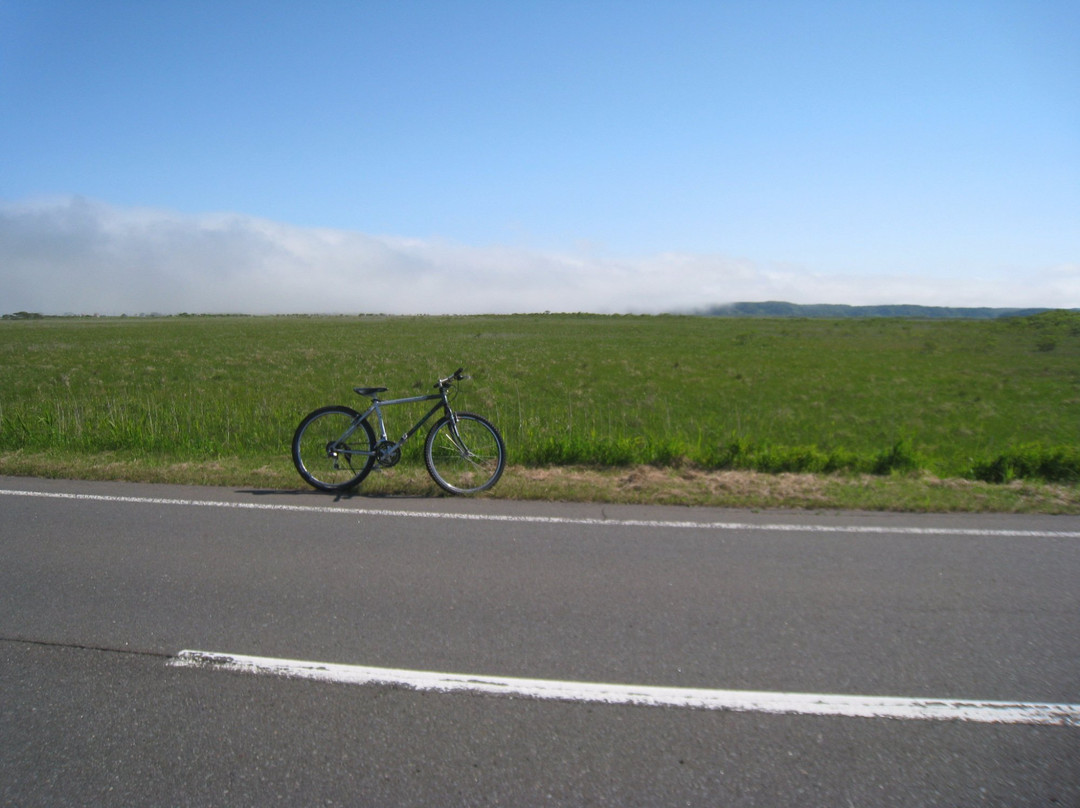 甘地路-滨中町必去景点