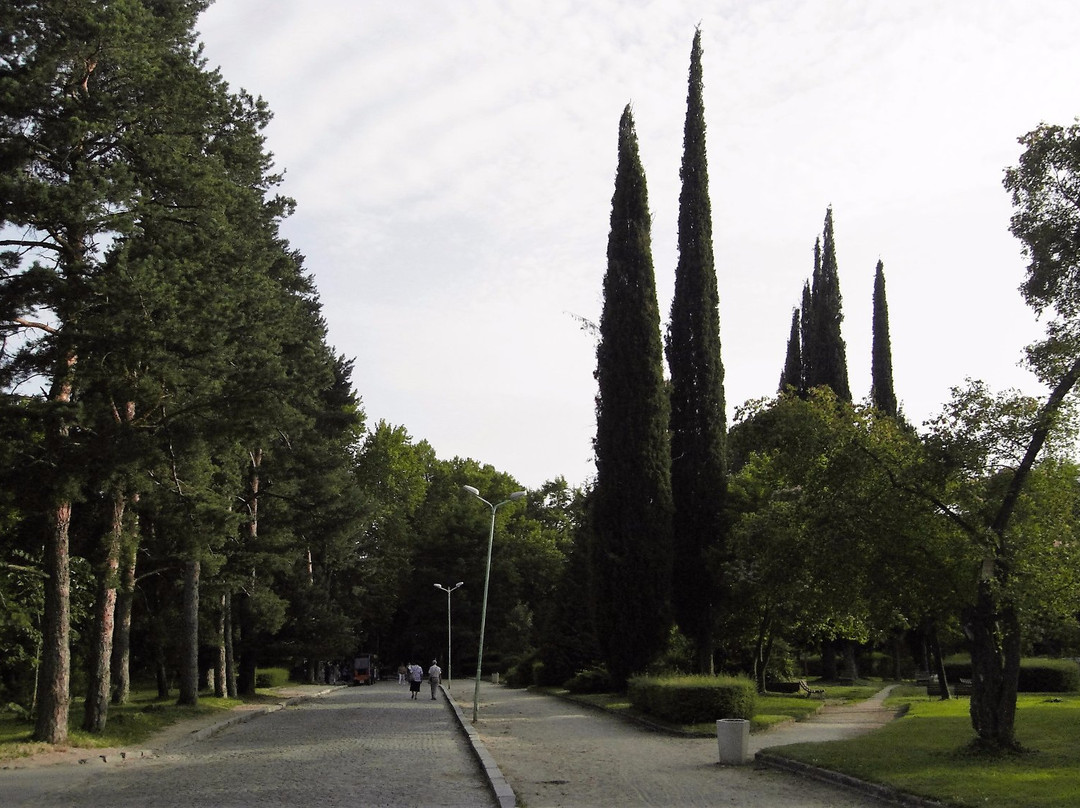 Blagoevgrad Province旅游景点-Townpark - Градски парк