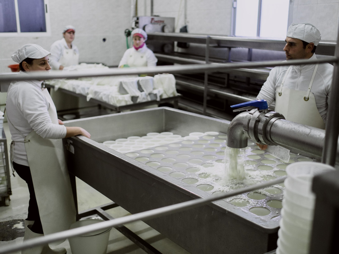 Quesos Sierra Sur-Alcala la Real必去景点