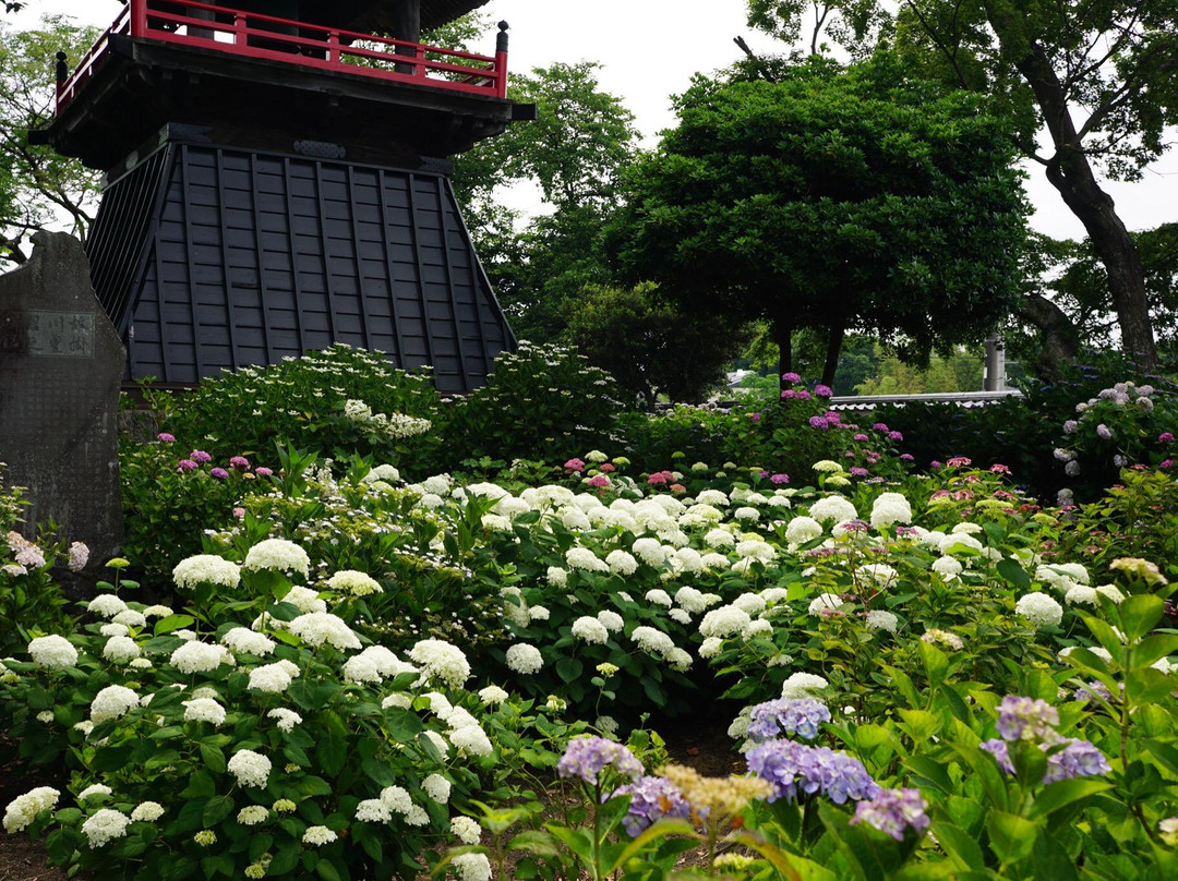 Nogoji Temple(Hydrangea Temple)-熊谷市必去景点