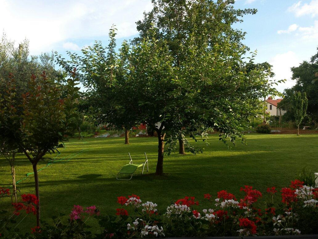 维拉住宿加早餐旅馆主图