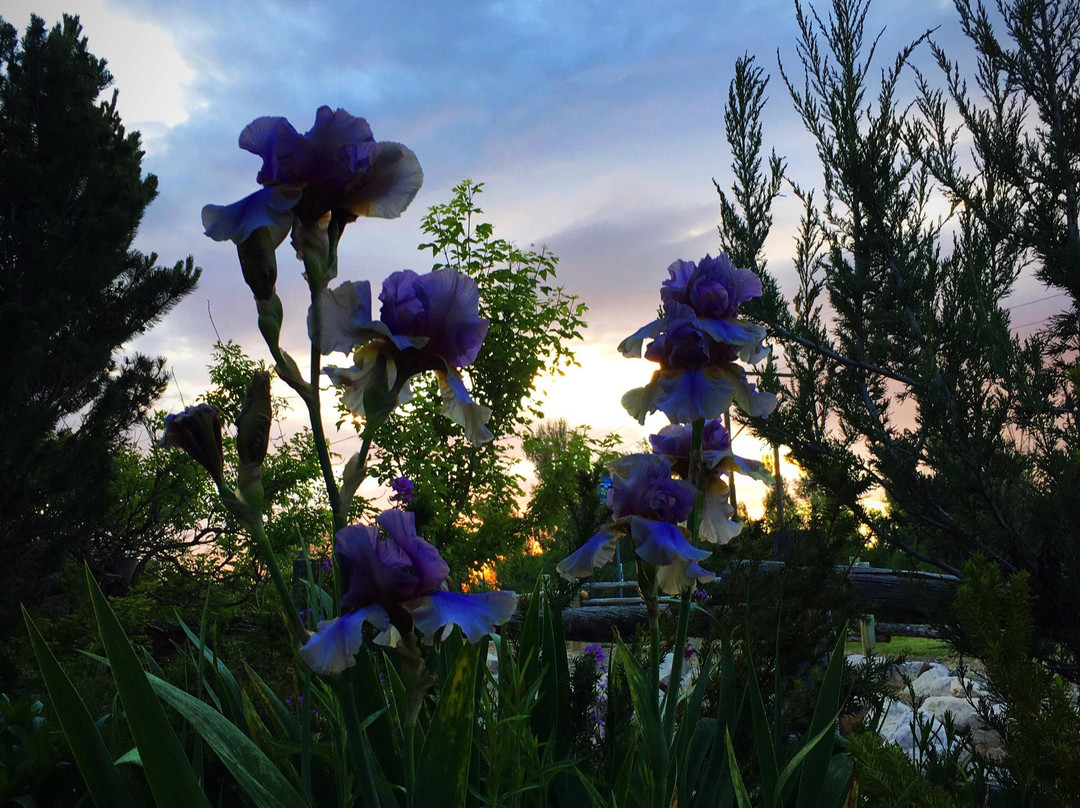 Ogden Botanical Gardens景点图片
