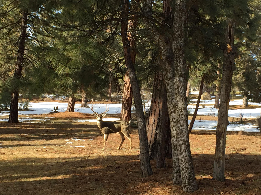 Running Y Ranch Golf Course-克拉马斯福尔斯必去景点