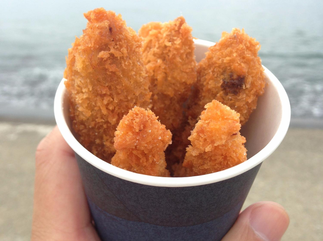 Michi-no-Eki Wave Park Namerikawa-滑川市必去景点