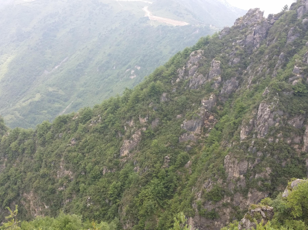 陇南香山自然保护区-礼县必去景点