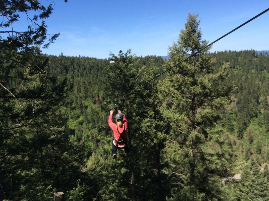 Timberline Adventures-科达伦必去景点