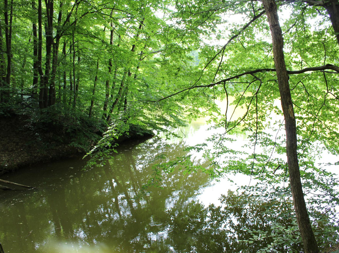 Parco forestale del Roero-Sommariva Perno必去景点