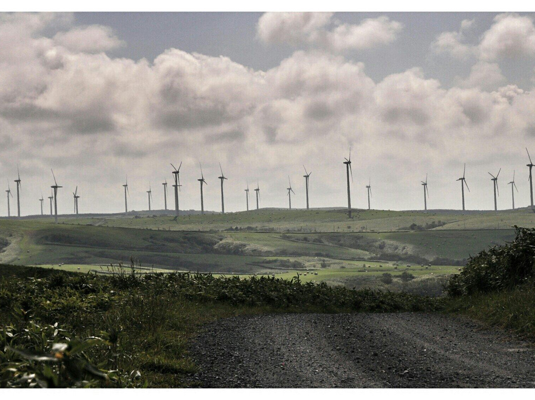 Cape Soya Wind Farm-稚内市必去景点