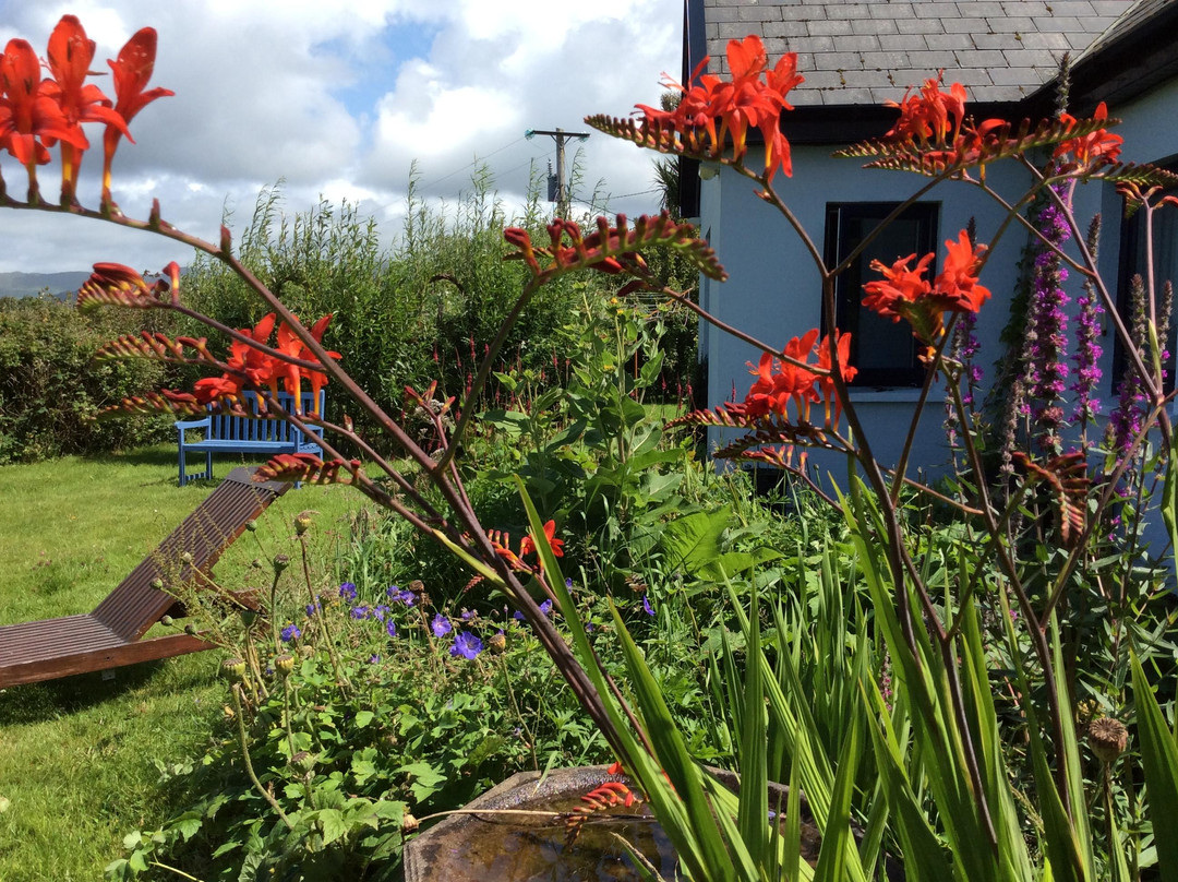 Ardgroom酒店住宿-Bellatrix Bed and Breakfast for Women