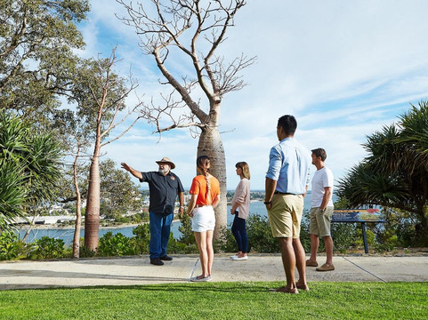 Indigenous Tours WA-珀斯必去景点