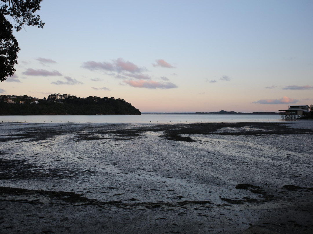 Blockhouse Bay Beach-奥克兰中心地区必去景点