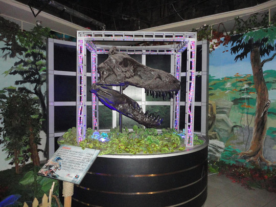 龙塔广场-哈尔滨市必去景点