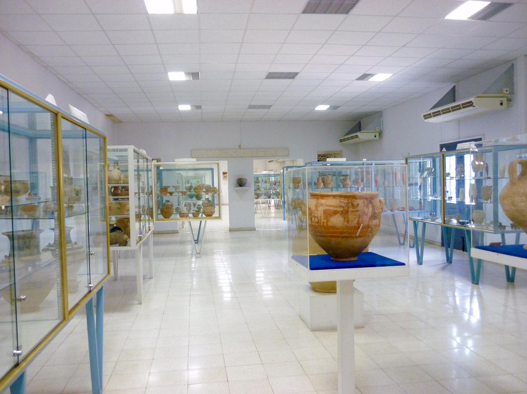 Larnaka District Archaeological Museum景点图片