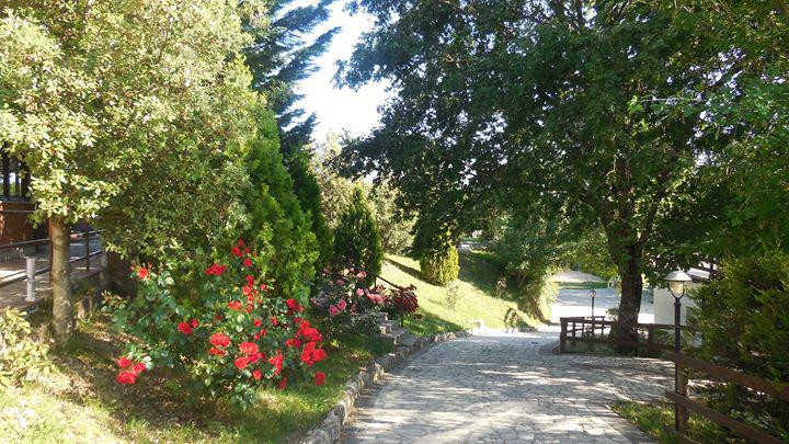 Agriturismo La Ginestra主图