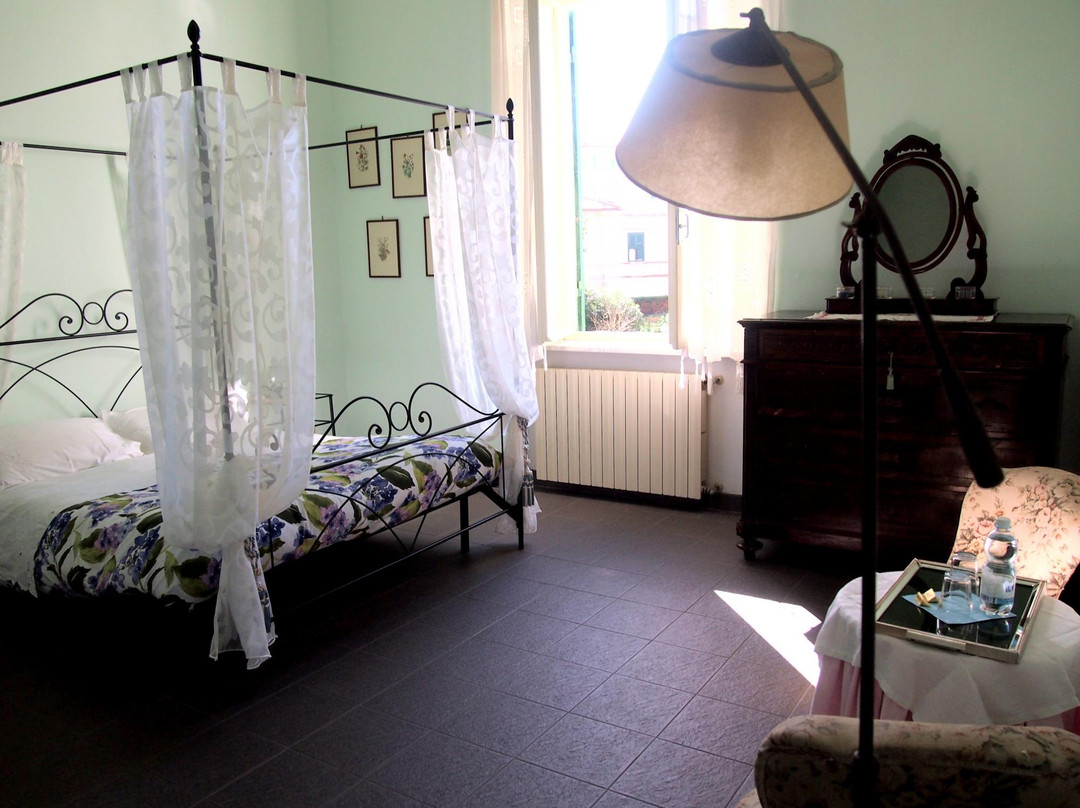 B&B Verde