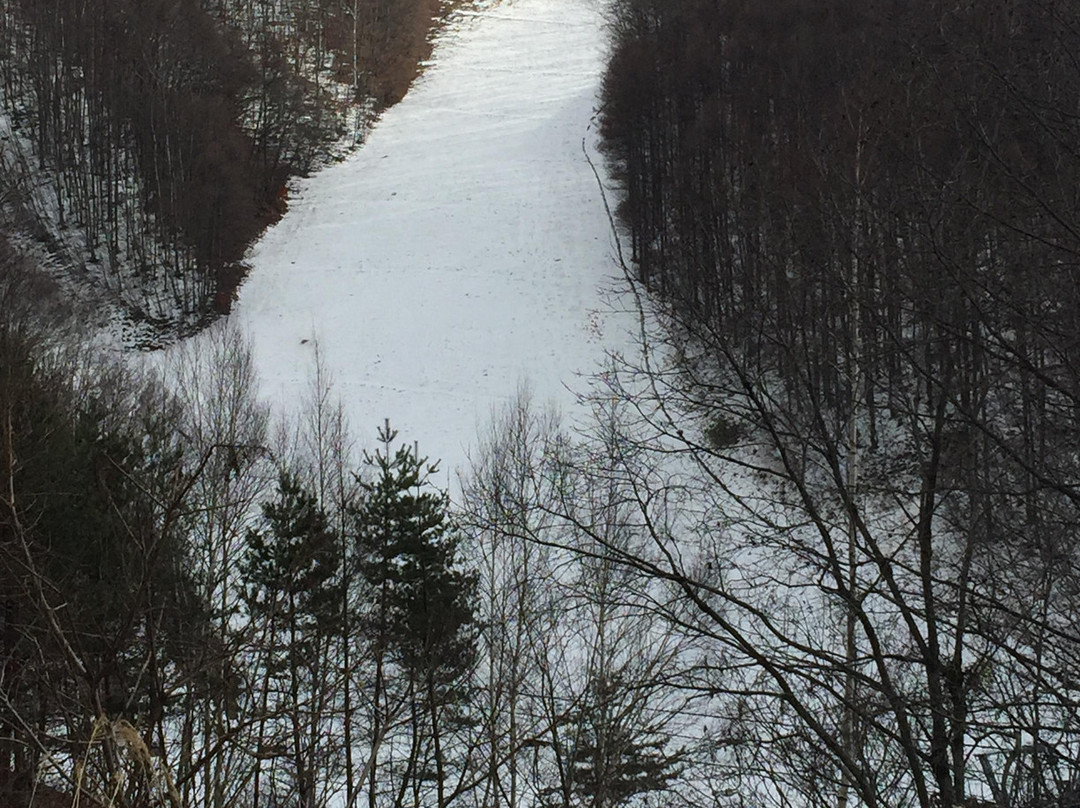 Snow Park Oze Tokura-片品村必去景点