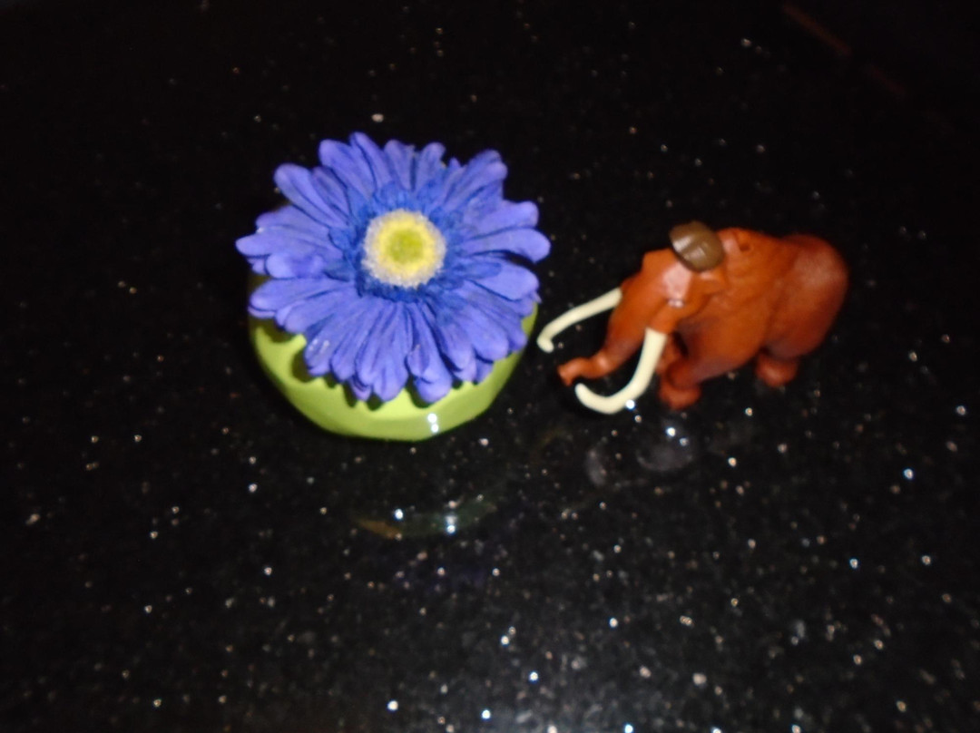 Lamy酒店住宿-La Quinta Inn By Wyndham Santa Fe