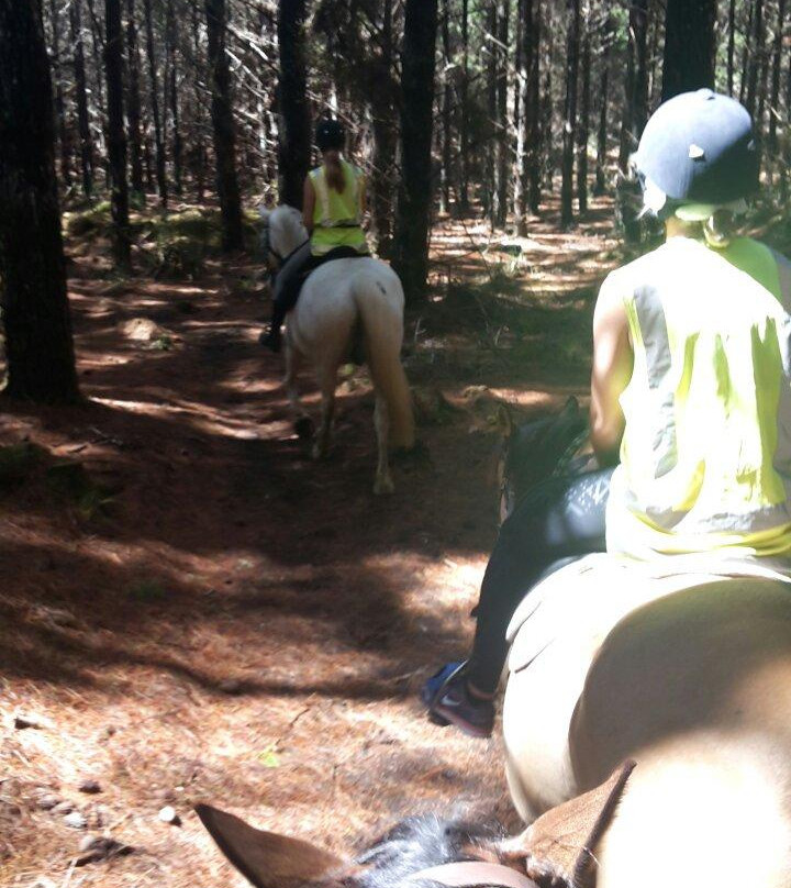 Aboutriding. Co. Nz-穆里怀海滩必去景点