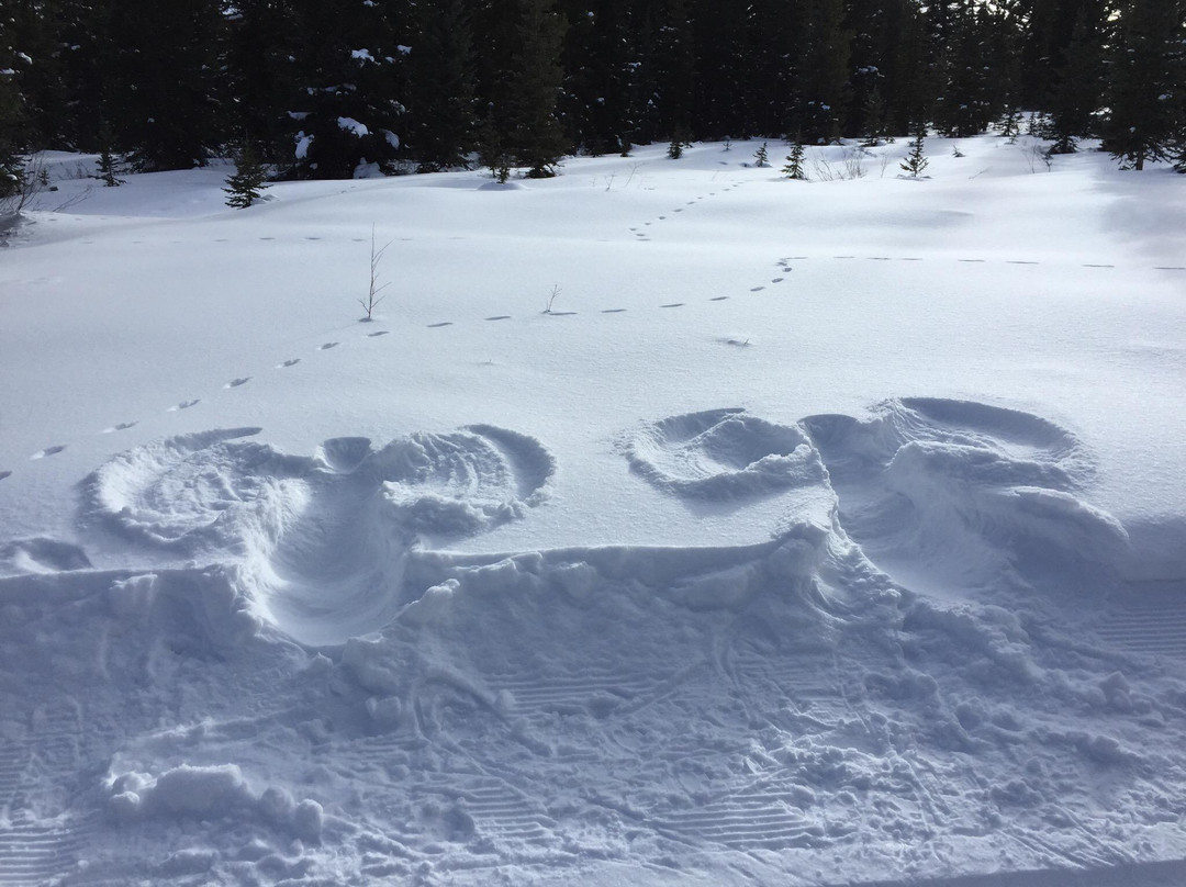 Beaver Creek Nordic Center-Avon必去景点