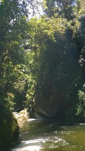Poco das Andorinhas Waterfall景点图片