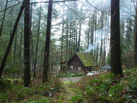 Magness Memorial Tree Farm-Sherwood必去景点