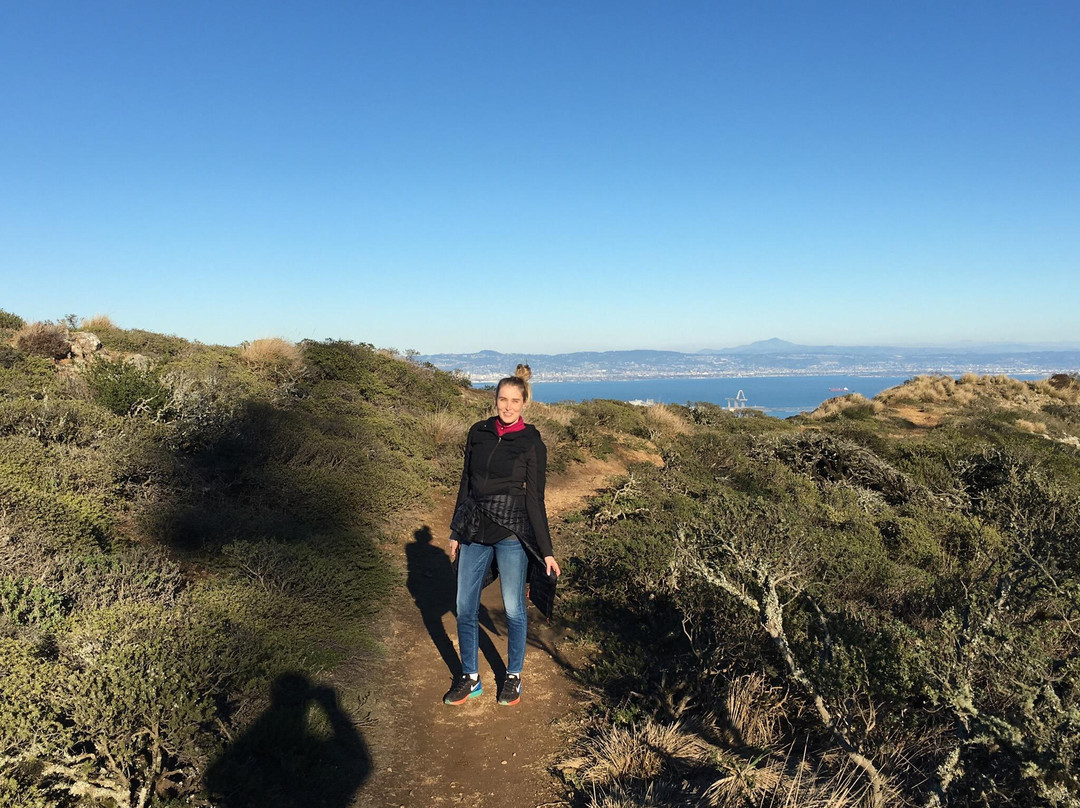 San Bruno Mountain-圣布鲁诺必去景点