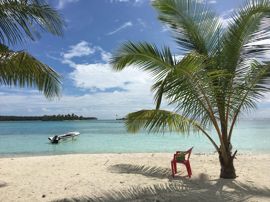 Pitti Bird Sanctuary-Lakshadweep必去景点
