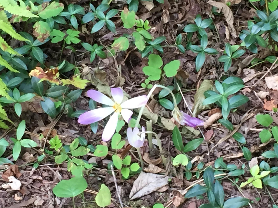 Root Glen-Clinton必去景点