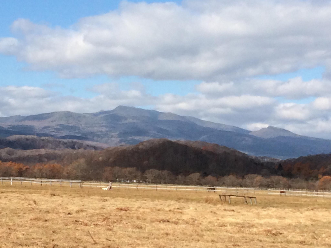 Shiraoi Tourist Information Center-白老町必去景点