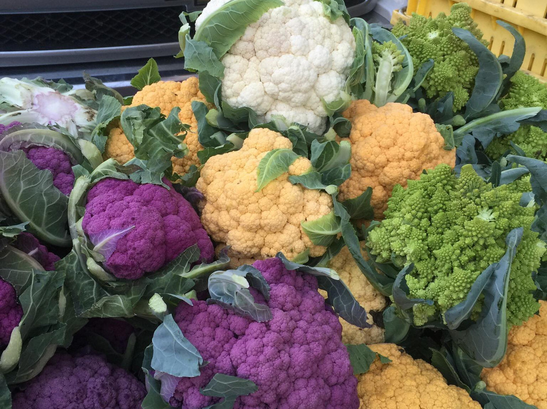 Old Monterey Farmer's Market景点图片