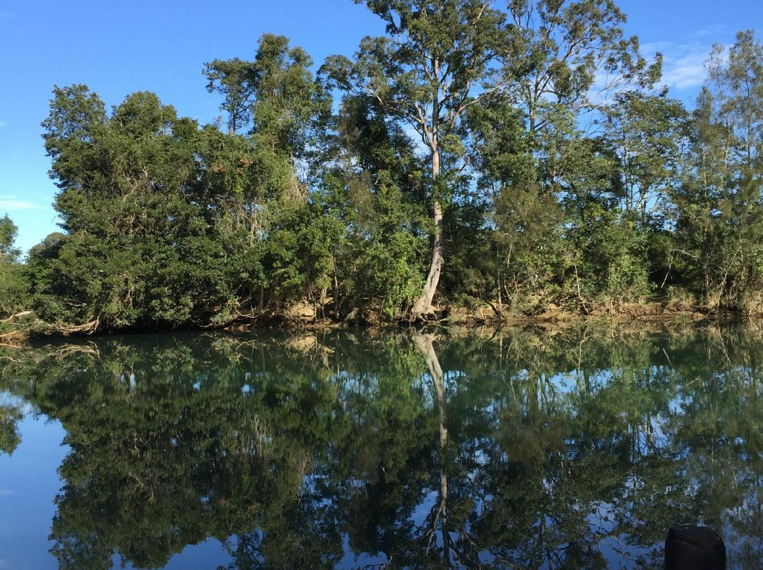 Wake2Wake Board School