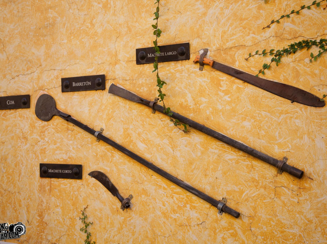 Estacion Turistica Gdl-瓜达拉哈拉必去景点