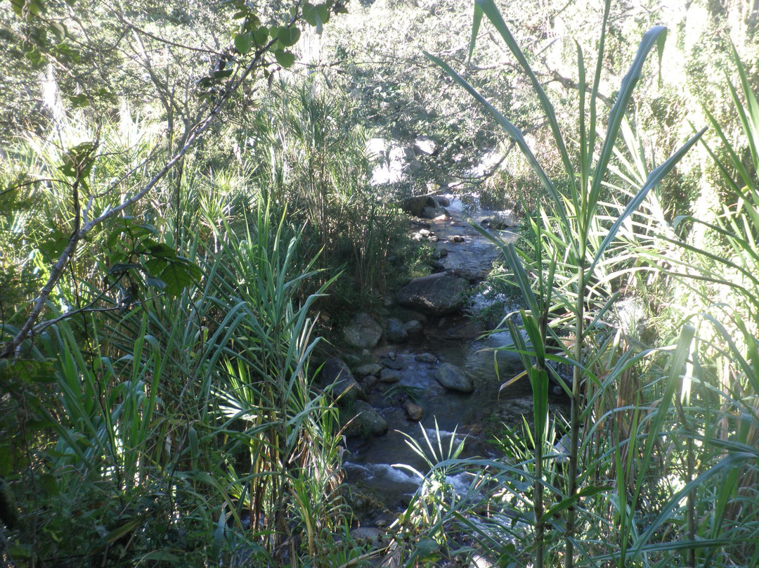 Parque Nacional Armando Bermudez-圣地亚哥省必去景点
