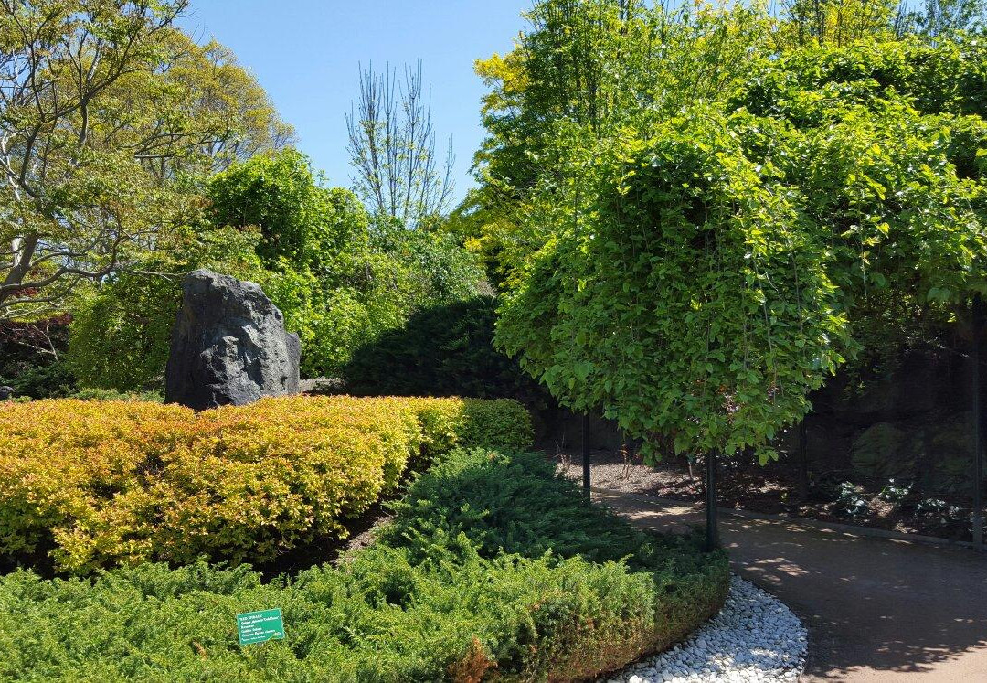 iHop Hunter Valley-波高尔宾必去景点