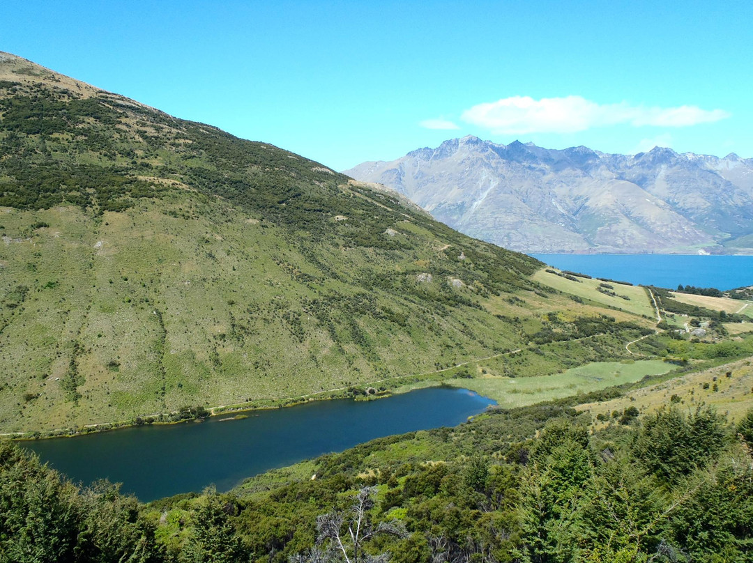 Mt Crichton Loop Track