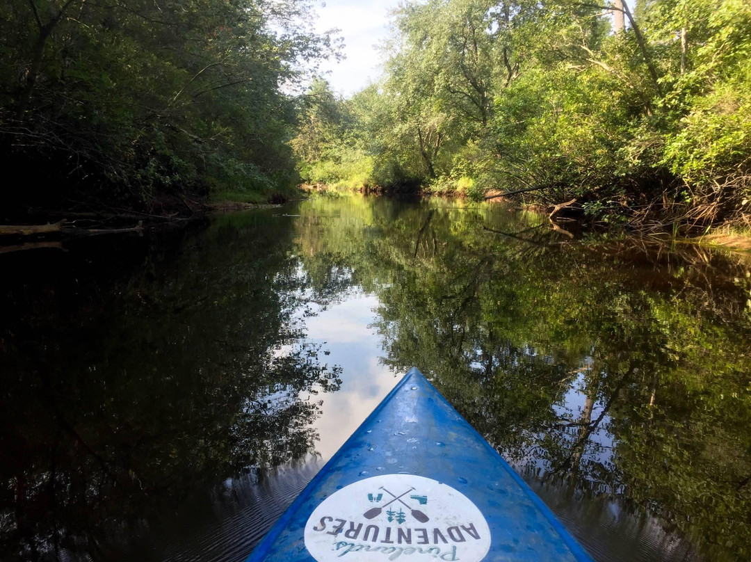 Pinelands Adventures景点图片