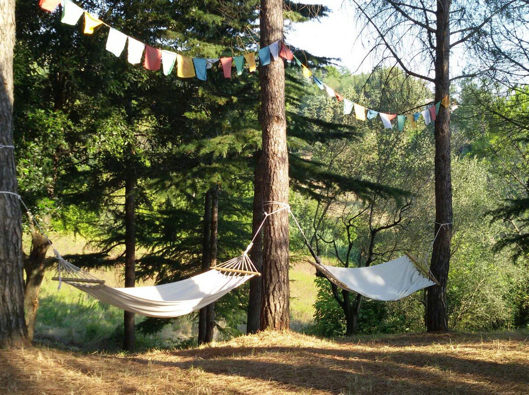 Villa Campo al Sole