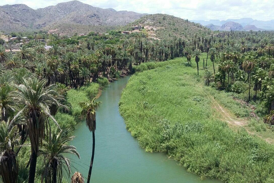 Bahía Concepción-Mulege必去景点