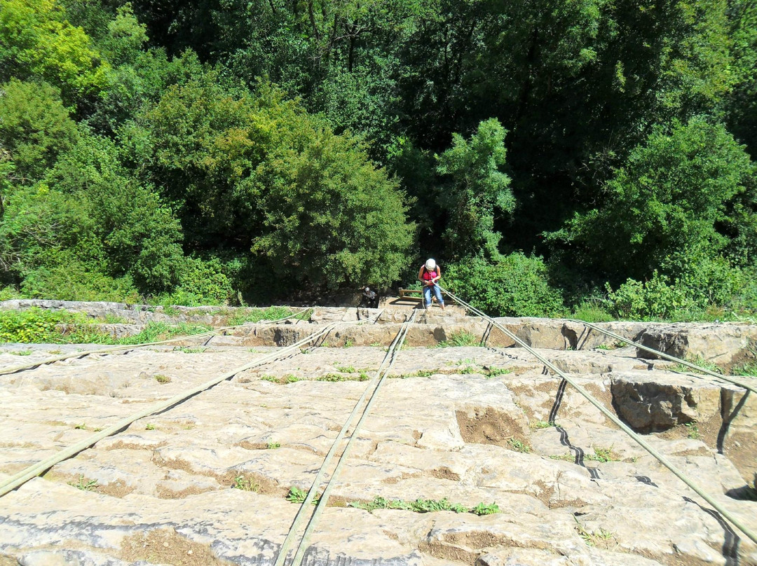 LPM Nature & Adventure Parc景点图片