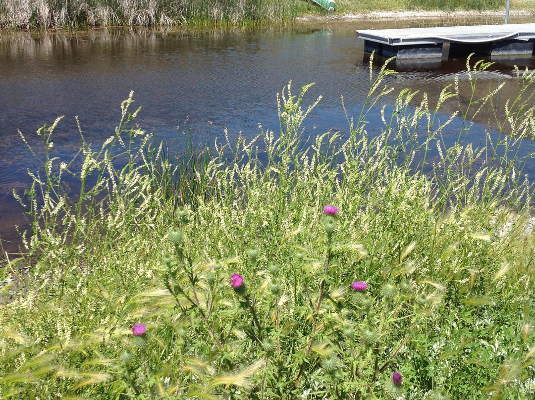 Ruby Lake National Wildlife Refuge景点图片