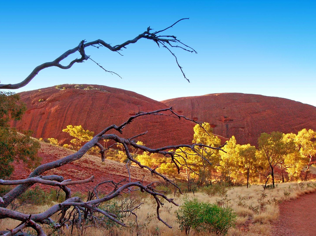 Walpa Gorge-乌鲁鲁-卡塔丘塔国家公园必去景点