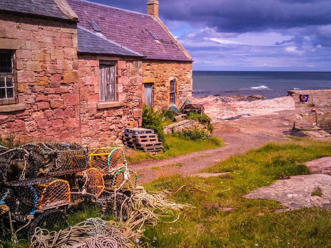 Longformacus旅游景点-Cove Harbour