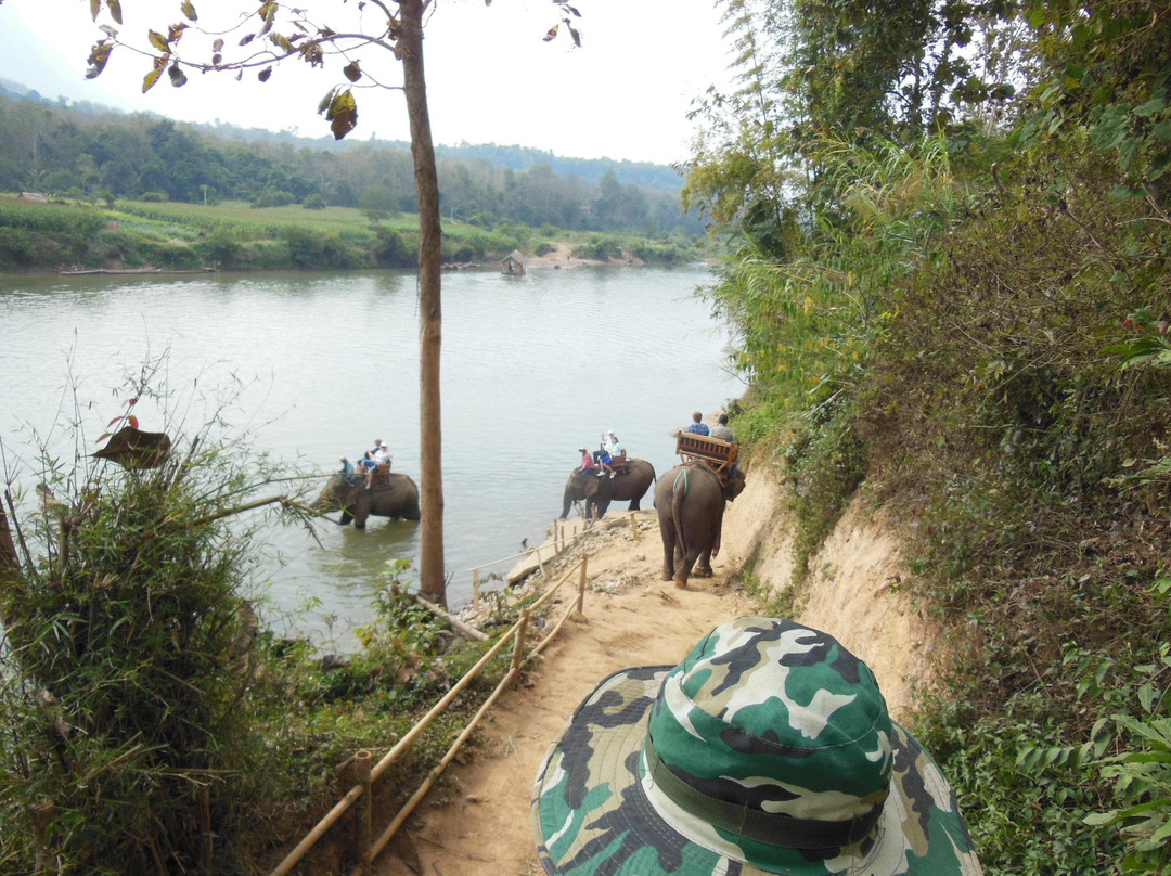 Elephant Village Sanctuary & Resort-琅勃拉邦必去景点
