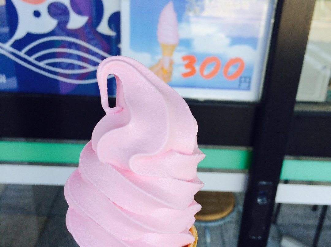 Michi-no-Eki Iwaki-由利本庄市必去景点