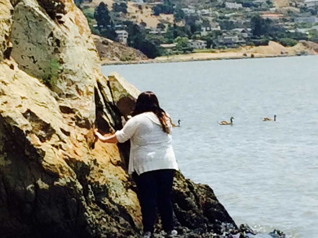 Richardson Bay Audubon Center景点图片