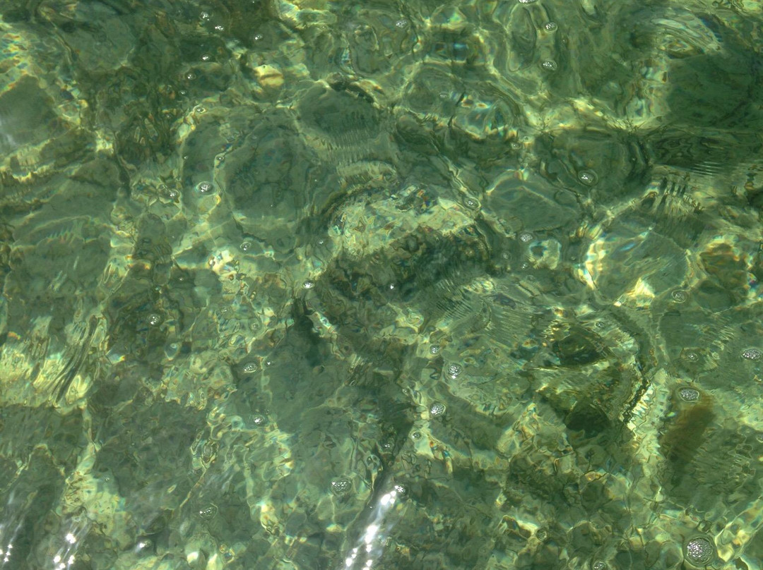 Elliott Key-比斯坎国家公园必去景点